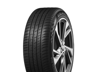 Шина Gislaved ActiveControl R19 245/55 летняя